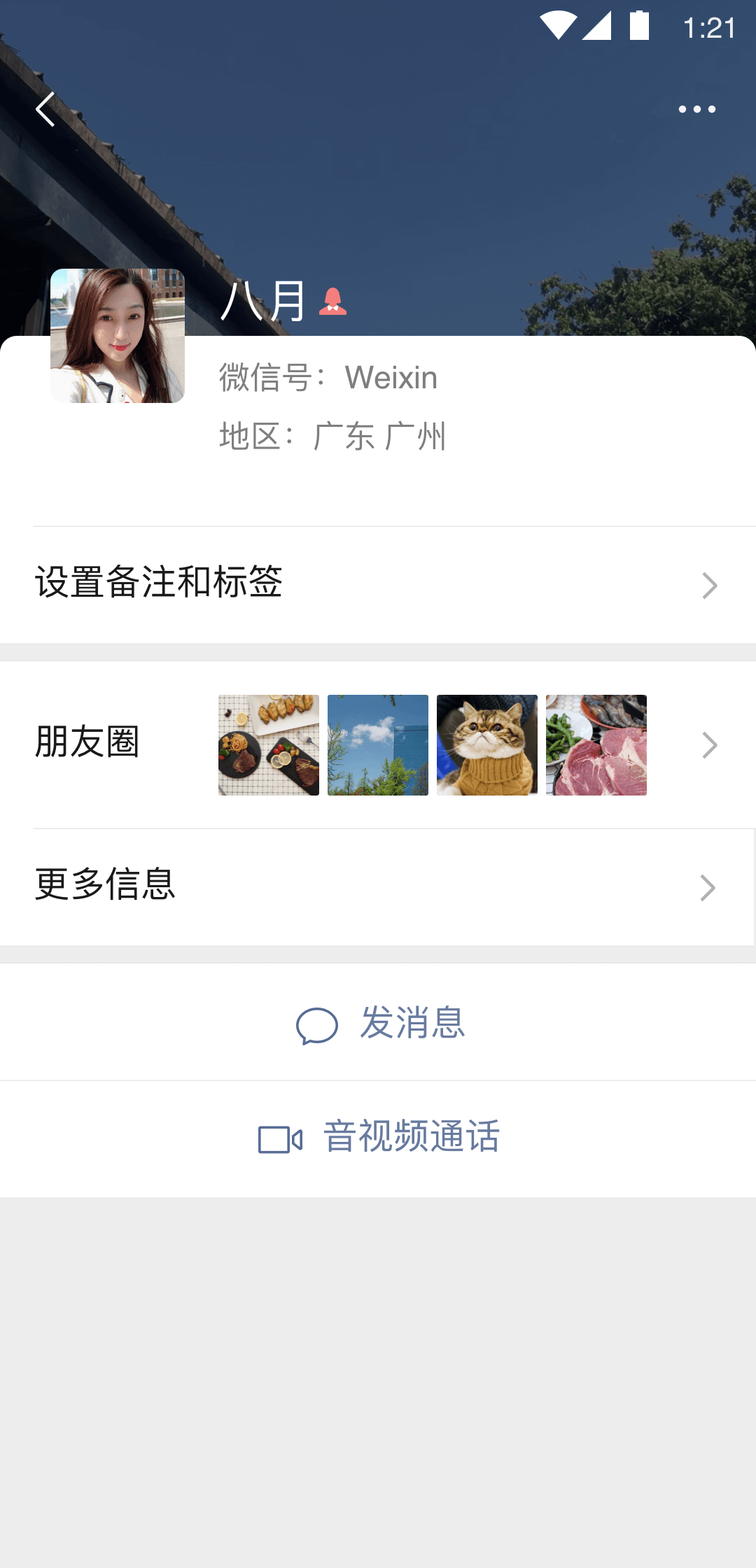 雾都森林吧截图